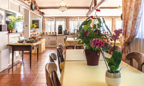 Hôtel Montagne Verte - photo 3