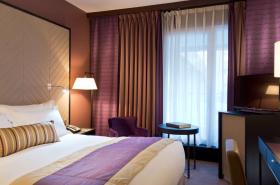 Sofitel Strasbourg Grande Ile - photo 11